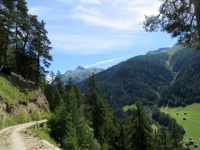 Salita in forestale all'alpe Äbnimatt