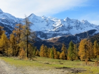 Alpe Piotta - sullo sfondo il Pizzo Campo Tencia ed il Pizzo Campolungo