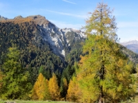 Alpe Piota, colori autunnali