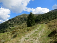 In direzione dell'Alpe Sorbella