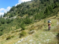 Percorrendo l'interpoderale nei pressi dell'Alpe Sorbella