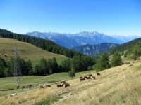 Salita all'Alpe Champ Chellier Superiore