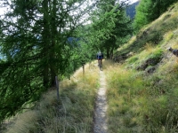 Il panoramico trail in direzione dell'alpeggio di Läger