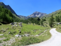 Inizio della salita sterrata per il Rifugio Grand Tournalin presso l'Alpe di Nana inferiore