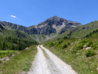 Salita sterrata per il Rifugio Grand Tournalin presso l'Alpe di Nana Inferiore