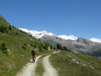 Salita sterrata per il Rifugio Grand Tournalin - sullo sfondo la catena del Monte Rosa