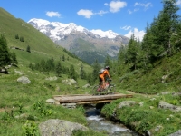 Percorrendo il sentiero che scende dal Rifugio Grand Tournalin - Alpe di Nana Inferiore