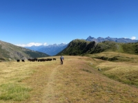 Il sentiero che attraversa i pascoli dell'Alpe Tsa de la Comba