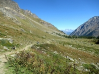 La mulattiera che sale all'Alpe Djouan dal Piano di Orvieille