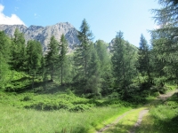 Lungo la Strada degli Alpi in prossimità dell'Alpe Cascina Nuova