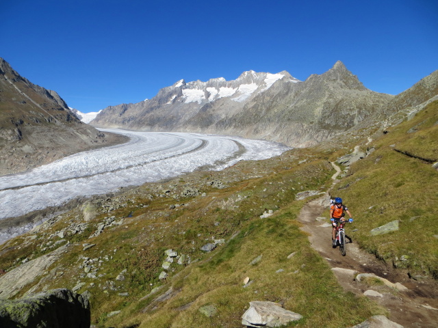 Lungo il sentiero che corre parallelo al ghiacciaio dell\'Aletsch