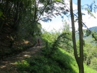 Sentiero per l'Alpe di Esino da Cainallo