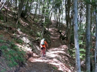 Sentiero per l'Alpe di Esino da Cainallo