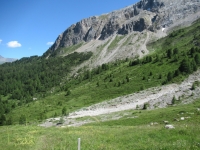 Il sentiero che attraversa Plan Cardaletsch in direzione di Promischur