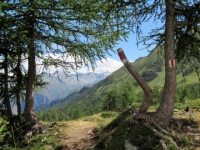 Alpe di Bovarina