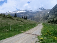 Salita verso l'Alpe da Carì