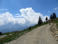 Salita verso l'Alpe da Carì