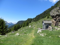 Lungo il sentiero che collega Somprei con l'Alpe di Chiera