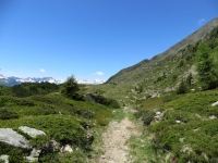 Arrivo all'Alpe di Chiera