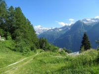 Discesa dall'Alpe di Chiera (tratto non presente in traccia causa sentiero impraticabile per abbattimento alberi)