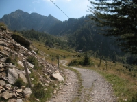 Alpe di Cadinello e Corno di Gesero sullo sfondo