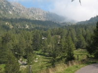 Alpe Gesero