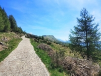 Alpe di paglio - Rifugio Ariaal13