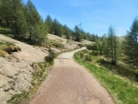 Alpe di paglio - Rifugio Ariaal14