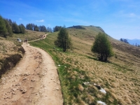 Alpe di paglio - Rifugio Ariaal15
