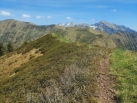 Alpe di paglio - Rifugio Ariaal26