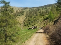 Alpe di paglio - Rifugio Ariaal31