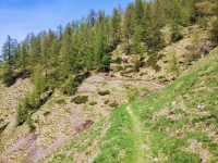 Alpe di paglio - Rifugio Ariaal33