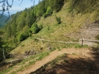 Alpe di paglio - Rifugio Ariaal35
