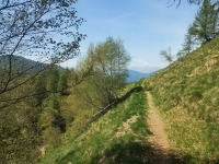 Alpe di paglio - Rifugio Ariaal36