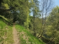 Alpe di paglio - Rifugio Ariaal37