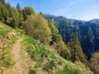 Alpe di paglio - Rifugio Ariaal39