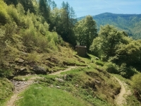 Alpe di paglio - Rifugio Ariaal41