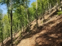 Alpe di paglio - Rifugio Ariaal42