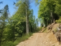 Alpe di paglio - Rifugio Ariaal43