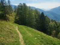 Alpe di paglio - Rifugio Ariaal49