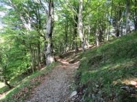 Sentiero che scende a valle dall'Alpe Duragno