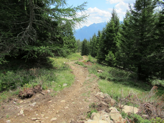 Il sentiero che scende dalla Alpe Foppascia