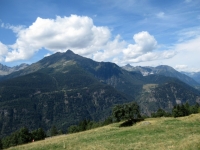 Panorama da Monte Angone - Vista sul Pizzo Forno (2.907)