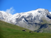 Alpeggio nella conca di By - Tête du Filon (3.306)