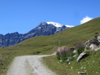 In direzione dell'Alpe Thoules - vista sul ghiacciaio del Mont Gelé