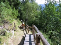 Alpe Fraccia, sentiero per Nembro