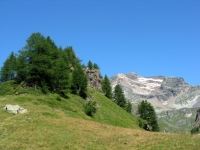 Salita all'Alpe Forno - panorama