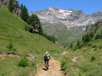 Salita all'Alpe Forno - Alpe Canaleccio