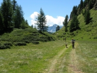 Salita all'Alpe Forno - Alpe Canaleccio
