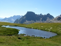 Passaggio nei prati tra l'Alpe Forno e l'Alpe della Satta